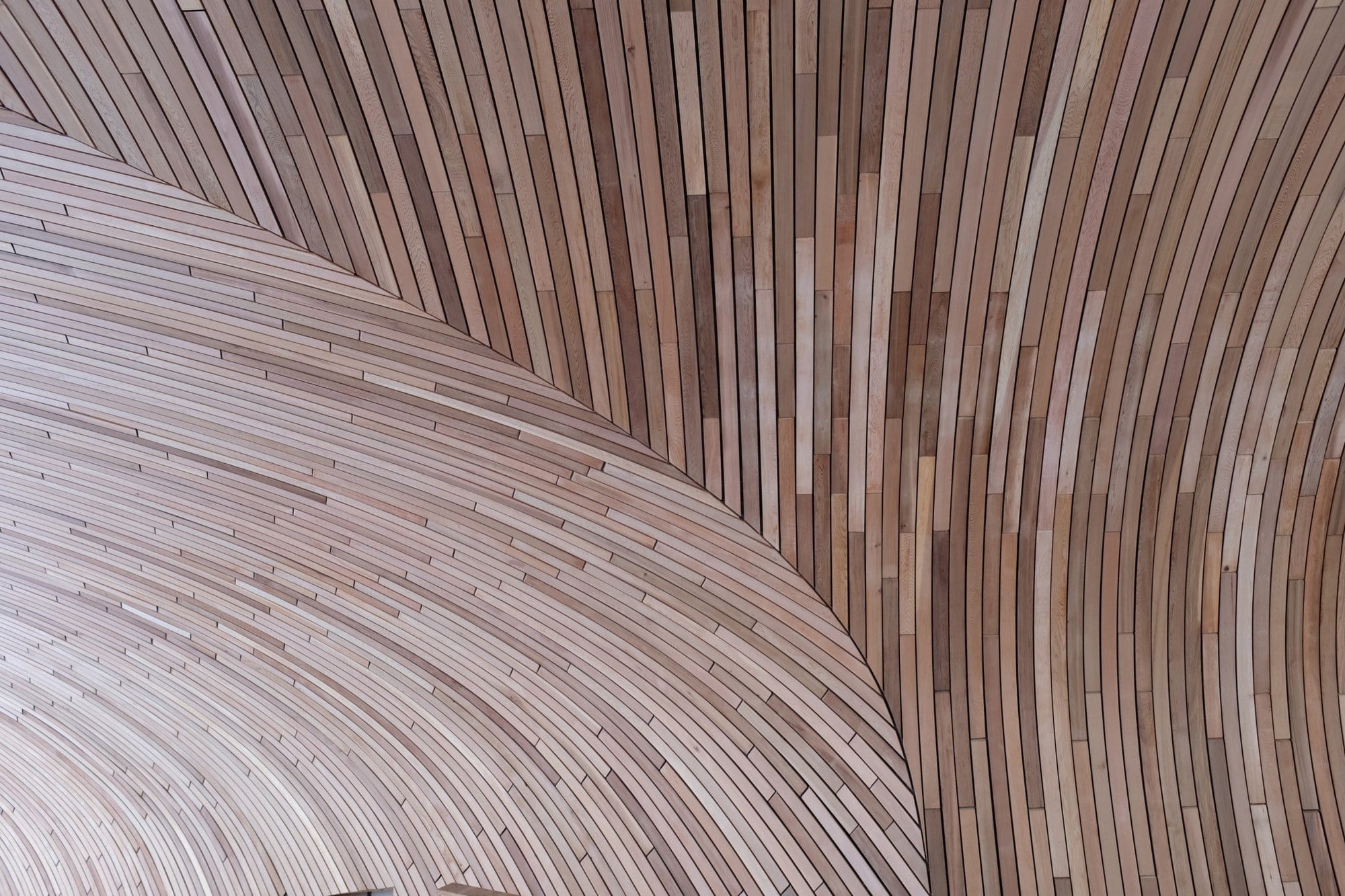 Calgary Library exterior wood ceiling design