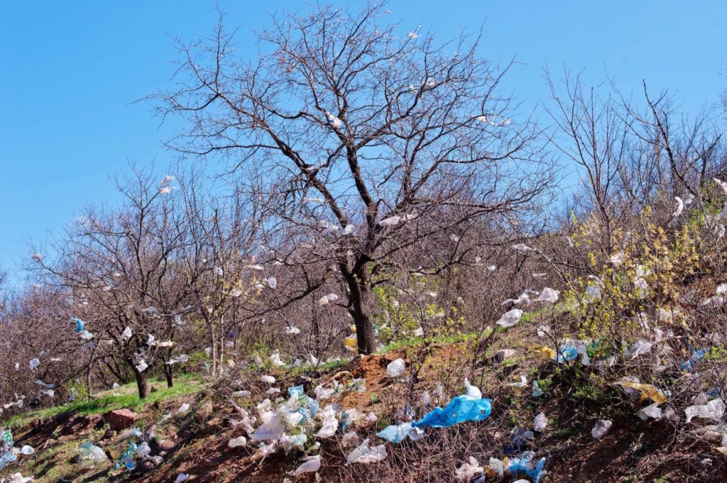 Garbage on a windy day
