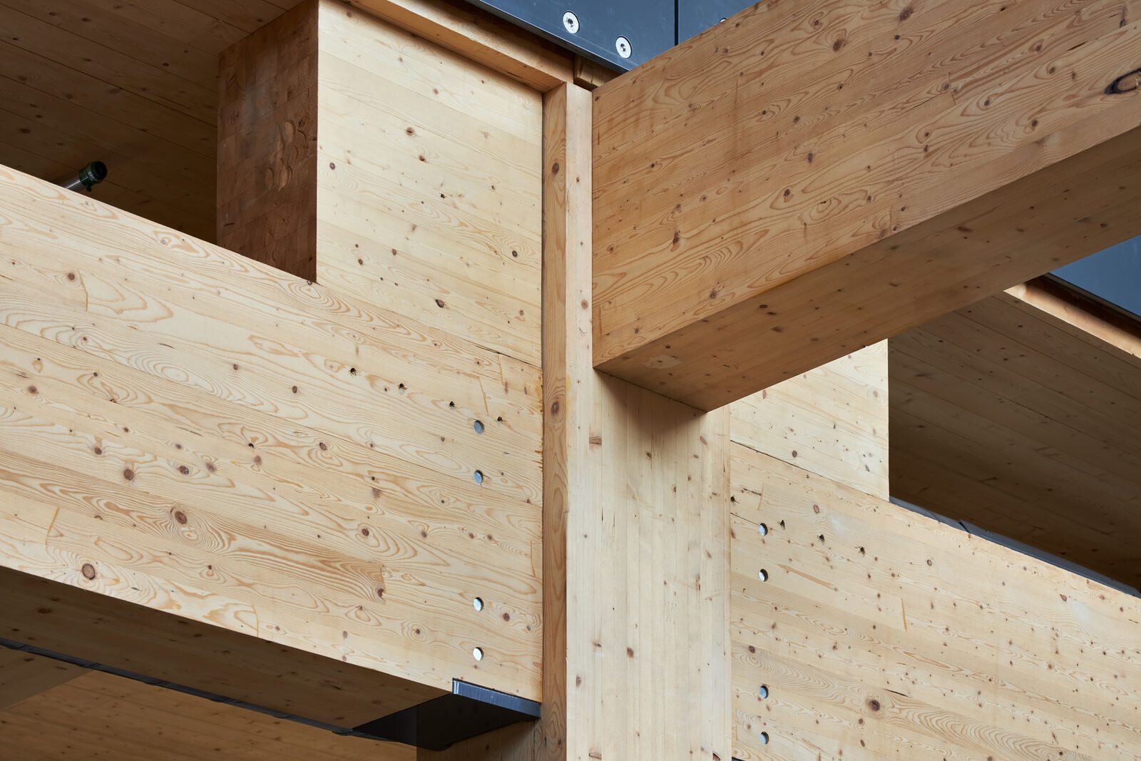 Wood building that locks up carbon.
