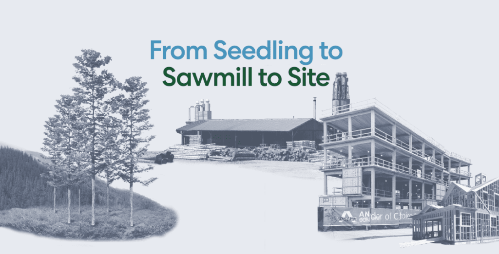 Wood's Value Chain: From Seedling to Sawmill to Site